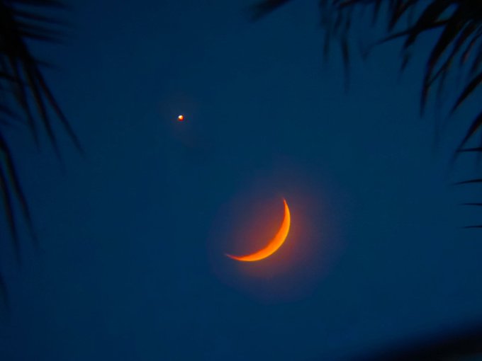 A glowing orange crescent moon shines in a dark blue twilight sky, framed by the silhouettes of palm fronds.