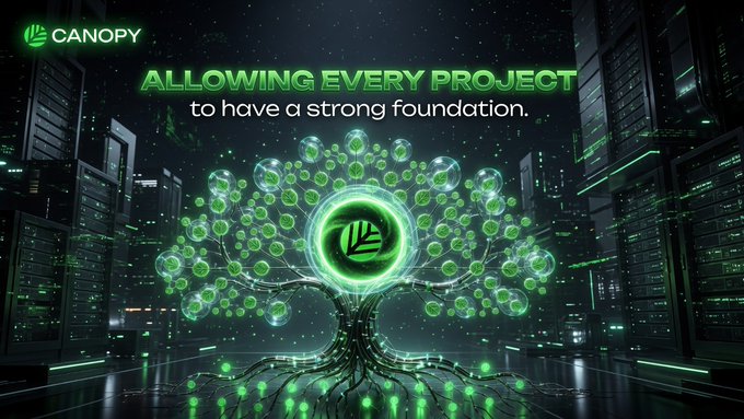 A promotional graphic for Canopy featuring a glowing green digital tree in a futuristic server room, with text reading 'ALLOWING EVERY PROJECT to have a strong foundation.'