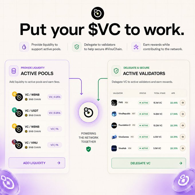 A digital interface for VinuChain showing 'Put your $VC to work' with options to provide liquidity to active pools or delegate to active validators.