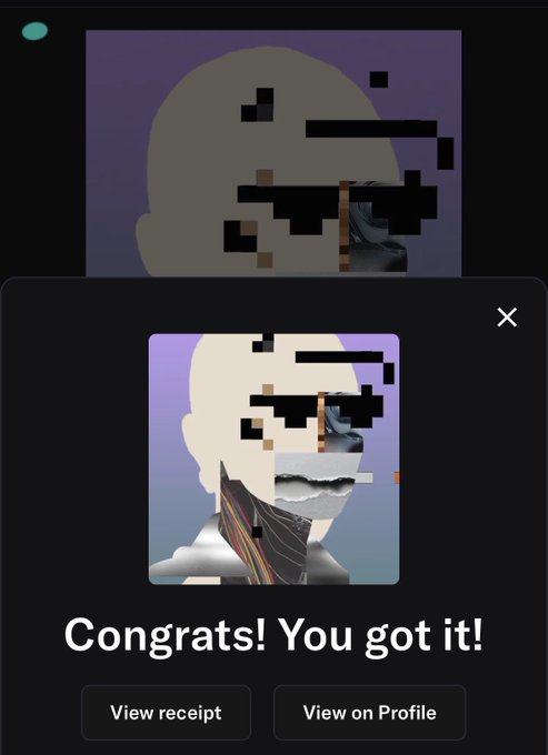 A digital collectible purchase confirmation screen displays the message "Congrats! You got it!" beneath a pixelated, glitch-style avatar image, with options to "View receipt" or "View on Profile" — marking a successful acquisition as part of the user's "Slowly but surely R333" collection progress.