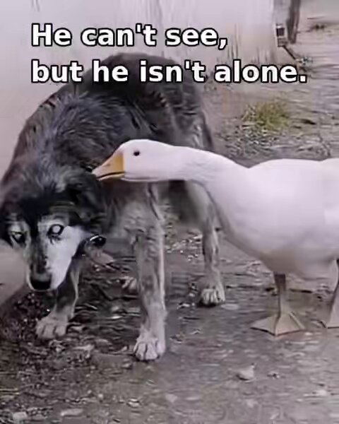 None