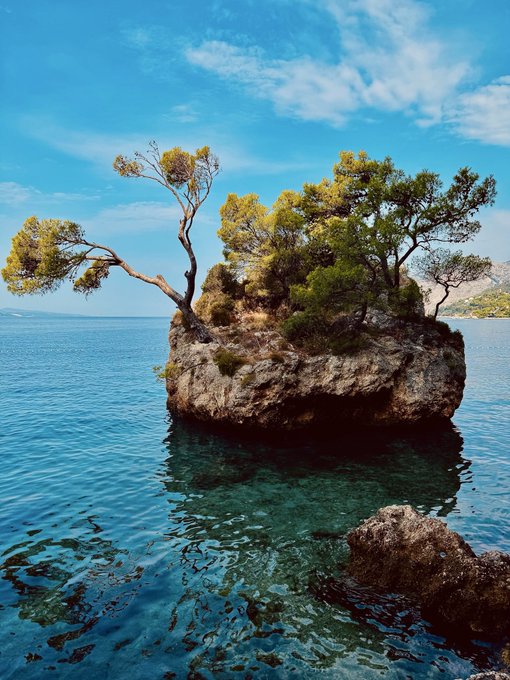 A small rocky island with pine trees rising from clear blue ocean water under a bright sky.