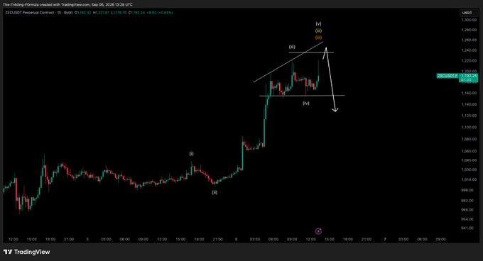 A TradingView candlestick chart of ZECUSD.P showing price movement from around $941 to $1,238 with Elliott Wave labels (i, ii, iii, iv, v) marking the price action.