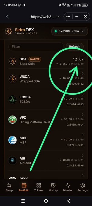 A Sidra DEX (Chain 57453) portfolio screenshot displays token balances, with SDA showing 12.67 tokens valued at $195.17 alongside a highlighted green arrow drawing attention to the balance, reinforcing the post's warning about unofficial websites that could compromise user SDA holdings.