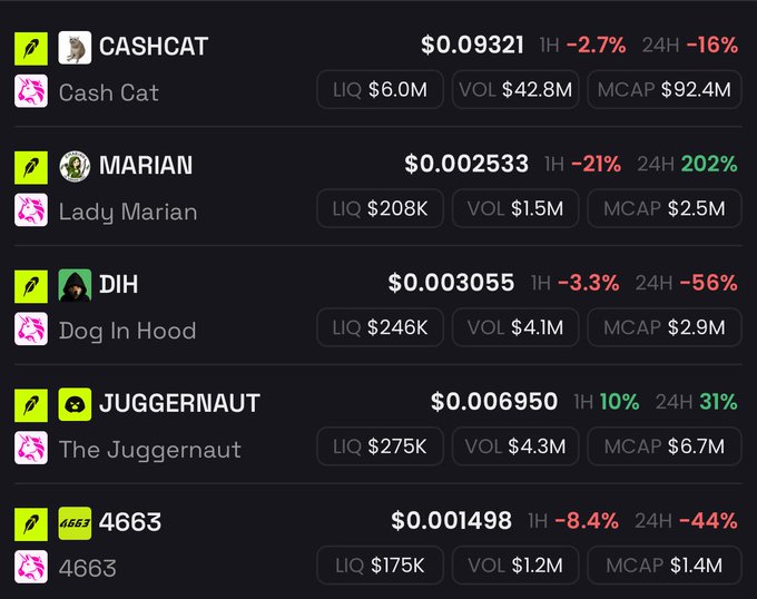 A cryptocurrency tracking dashboard displays five memecoins including $CASHCAT ($0.09321), $MARIAN ($0.002533), $DIH/Dog In Hood ($0.003055), $JUGGERNAUT ($0.006950), and 4663 ($0.001498), along with their respective market caps, liquidity, and volume metrics showing mixed 1-hour and 24-hour performance changes.