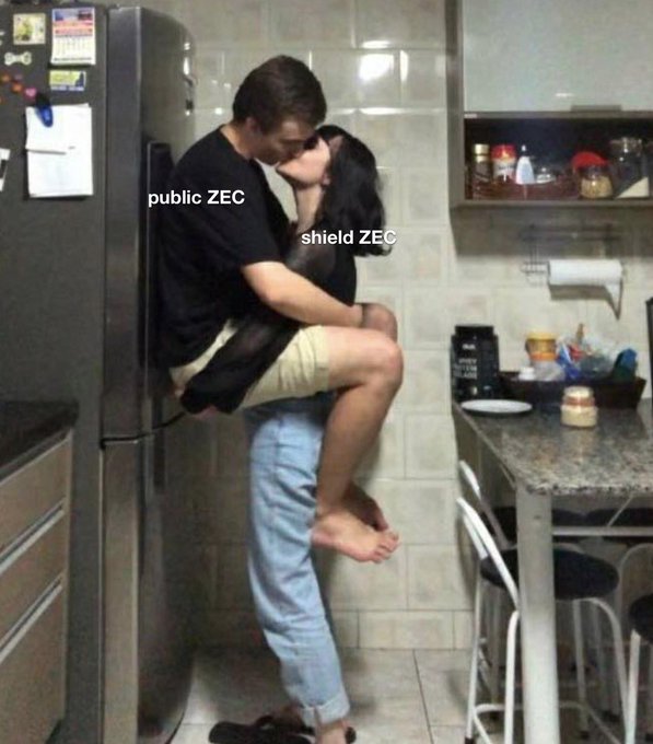 A couple kissing in a kitchen is labeled “public ZEC” and “shield ZEC.”