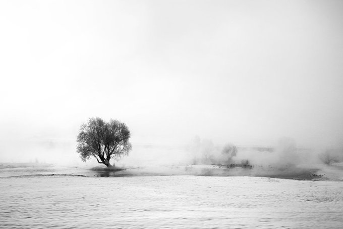 A minimalist black and white landscape photograph featuring a lone tree in a misty or snowy field.