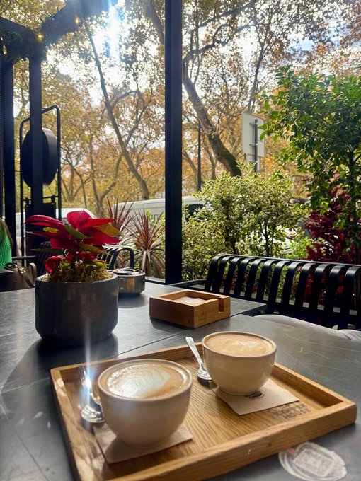 Two cups of coffee or latte on a wooden tray sit on a dark marble table inside a cafe, with a view of trees and autumn foliage through large windows, accompanied by a poinsettia plant.
