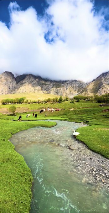 A scenic landscape of a mountain valley with a winding stream, green meadows, grazing animals, and clouds hovering over the mountain peaks.