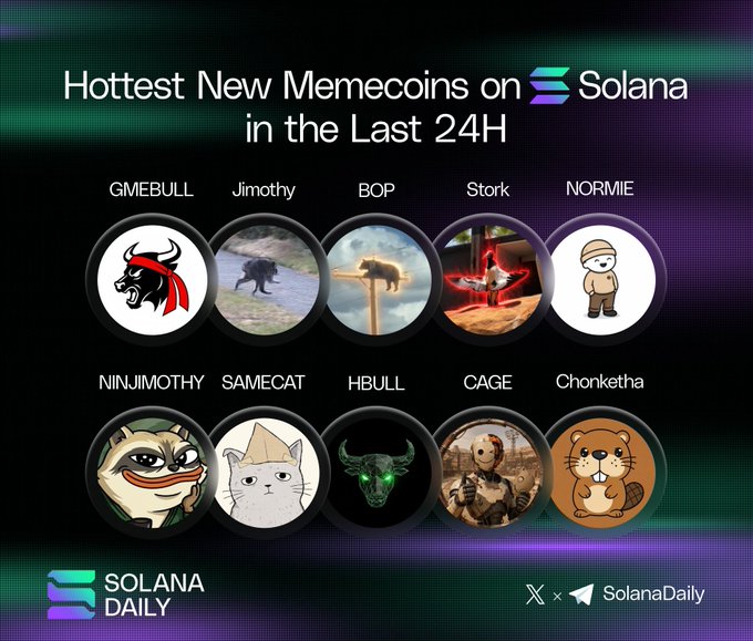 The image showcases a "Hottest New Memecoins on Solana in the Last 24H" graphic from Solana Daily, featuring ten token icons labeled GMEBULL, Jimothy, BOP, Stork, NORMIE, NINJIMOTHY, SAMECAT, HBULL, CAGE, and Chonketha, which aligns with the post listing top trending Solana memecoins and their associated handles.
