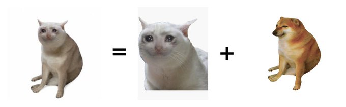 The image shows a meme equation where a white cat equals another white cat plus a Shiba Inu dog, visually representing the joke about the white cat memecoin being a "combination" or iteration inspired by the original Shiba Inu dog-themed coins, referencing the contract address 0x02cf701ddb38ec16c3b13eb410dff284c78d7cbb.