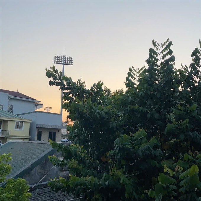 A photograph of a stadium floodlight tower rising above lush green trees against a pale evening sky, with residential rooftops visible on the left.