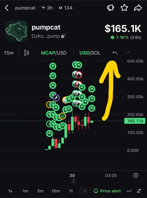 A trading chart for the pumpcat token (DyK...pump) showing a price of $165.1K with 7.1% 24h gain, featuring green cat token bubbles and a large yellow upward arrow indicating a bullish trend.