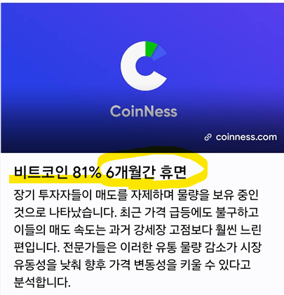 A Korean-language news graphic from CoinNess (coinness.com) highlighting that Bitcoin's 81% 6-month rally has cooled, with the headline circled in yellow.