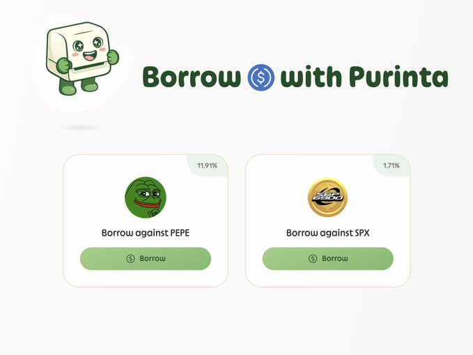 A promotional graphic for 'Borrow with Purinta' shows two borrowing options: 'Borrow against PEPE' at 11.91% and 'Borrow against SPX' at 1.71%, featuring a cute cartoon character mascot.