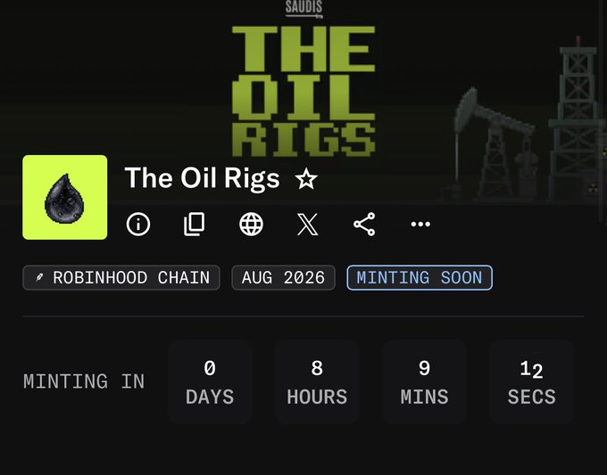 A project page for "The Oil Rigs" NFT collection on Robinhood Chain, showing a countdown timer with 0 days, 8 hours, 9 minutes, and 12 seconds remaining before minting.