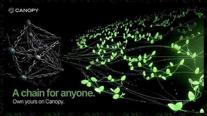 A Canopy promotional graphic reading 'A chain for anyone. Own yours on Canopy,' showing a dark network transforming into glowing green leaves.