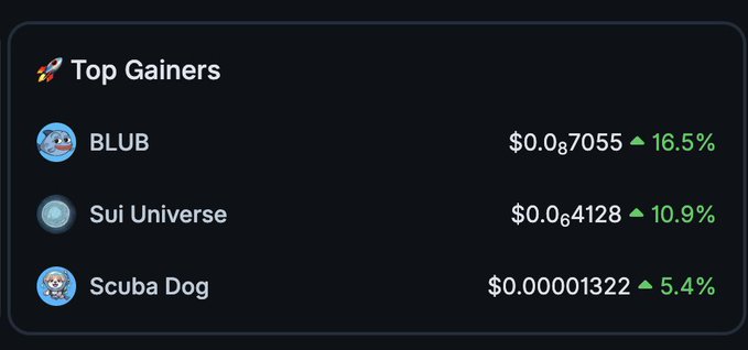 A dark-themed 'Top Gainers' cryptocurrency list displays three coins with their price changes: 'BLUB' at $0.0₈7055 (up 16.5%), 'Sui Universe' at $0.0₆4128 (up 10.9%), and 'Scuba Dog' at $0.00001322 (up 5.4%).