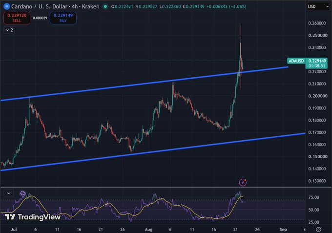 A TradingView candlestick chart for Cardano (ADA/USD) on Kraken showing an ascending channel pattern in blue, with an RSI indicator below and current price at 0.229149 (+3.08%).
