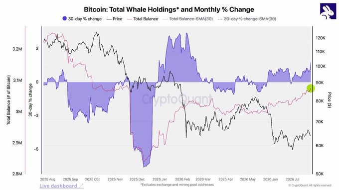 The chart displays Bitcoin whale holdings alongside monthly percentage changes in whale balances and price trends, with whale holdings (Total Balance in pink) rising to around 3.1M BTC despite BTC price trading near $65K-$70K. The image supports the post's claim by showing the 30-day % change (blue) trending positive while price remains relatively subdued, indicating whales are accumulating while retail-driven selling pressure keeps prices lower.