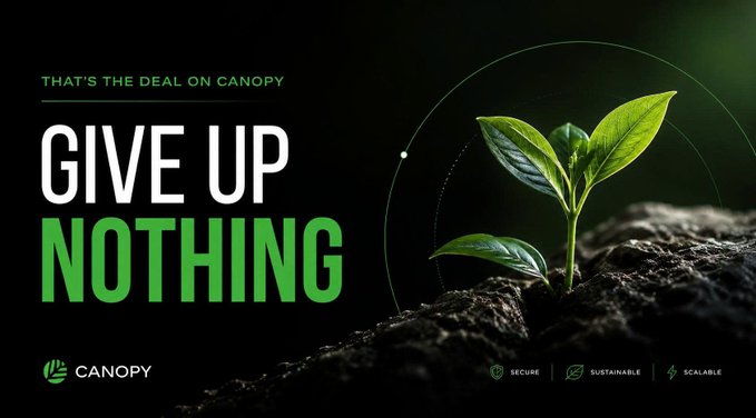 A promotional graphic for Canopy features a young green plant sprouting from dark soil, alongside bold text reading "THAT'S THE DEAL ON CANOPY" and "GIVE UP NOTHING," with the CANOPY logo and the keywords "SECURE," "SUSTAINABLE," and "SCALABLE" at the bottom—visually reinforcing the message that building on Canopy's network requires no sacrifices to control or independence.