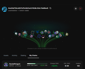 A screenshot of a crypto wallet interface showing the account address (0xd244756c6947f9c8b53a21f618c316c67b88ed5) on Abstract L2 with a tree visualization of 29 assets across various chains, highlighting RocketPenguin ($RPC) with a +135.51% 24h change.