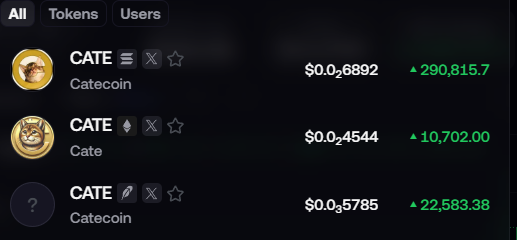 A cryptocurrency listing page displaying three tokens named 'CATE' (Catecoin and Cate) with their respective prices and significant 24-hour price increases.