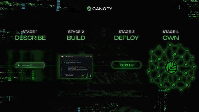 A digital diagram for 'CANOPY' showing four stages: Stage 1 DESCRIBE, Stage 2 BUILD (with code editor), Stage 3 DEPLOY, and Stage 4 OWN (with a network node graphic).