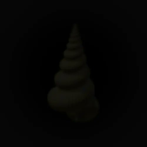 A dark, nearly black image showing a faint spiral or conical shape barely visible against the dark background.