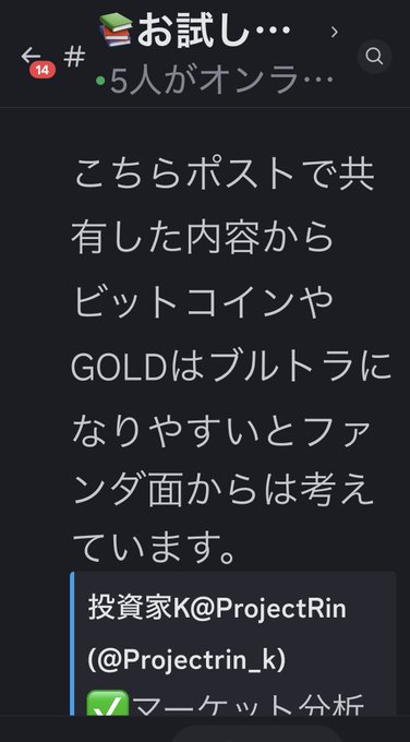 Japanese Discord/channel post discussing how Bitcoin and GOLD tend to become bubbles based on fund-side analysis, shared by 投資家K @ProjectRin_k.