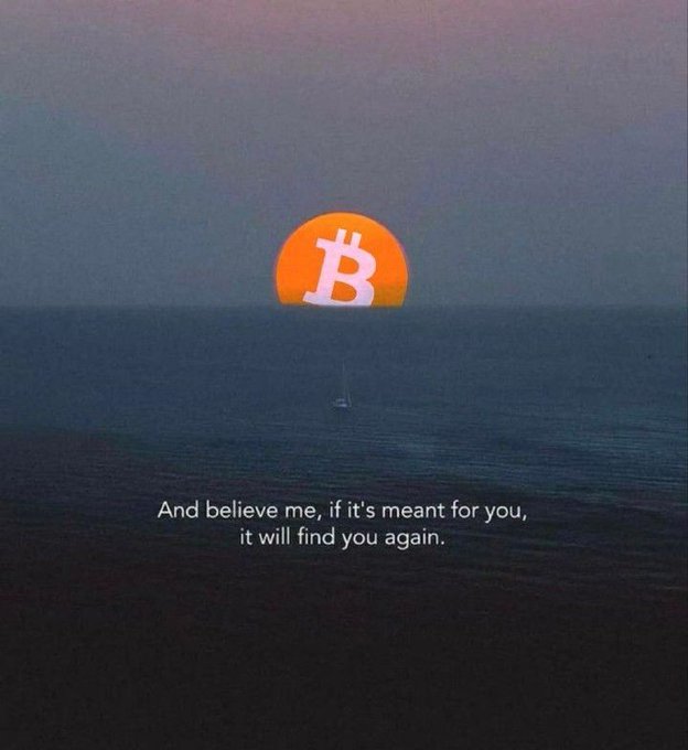 A sunset over the ocean with a Bitcoin (₿) logo styled as the sun, accompanied by the text: 'And believe me, if it's meant for you, it will find you again.'