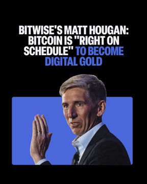 A man in a dark suit gestures with his raised hand against a black and blue background, paired with the headline "BITWISE'S MATT HOUGAN: BITCOIN IS 'RIGHT ON SCHEDULE' TO BECOME DIGITAL GOLD," highlighting Bitwise CIO Matt Hougan's commentary on Bitcoin's decreasing volatility and maturation as an asset.