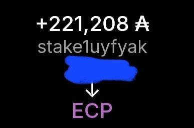 A screenshot showing +221,208 A tokens associated with the username 'stake1uyfyak' with a redacted portion pointing down to 'ECP' in pink text.