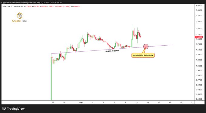 CryptoPunk created with TradingView chart showing a candlestick graph for DEBT/USDT with the title 'Must Hold for Bullish Rally' pointing to a circled area on the price chart.