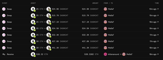 A cryptocurrency transaction history showing multiple ETH to CASHCAT swaps ranging from 515.7K to 524.9K CASHCAT tokens, all occurring between 10-19 minutes ago.