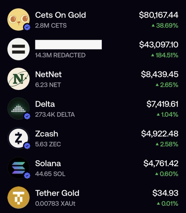 A cryptocurrency portfolio screen showing holdings and prices including Cets On Gold ($80,167.44), NetNet ($8,439.45), Delta ($7,419.61), Zcash ($4,922.48), Solana ($4,761.42), and Tether Gold ($34.93), all displaying positive percentage gains in green.