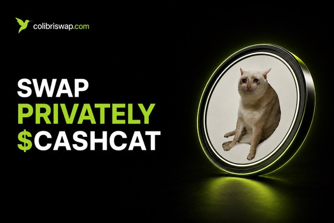 A promotional graphic for ColibriSwap features a cat inside a glowing circular frame alongside the bold text "SWAP PRIVATELY $CASHCAT" and the colibriswap.com logo, visually announcing $CASHCAT's availability for private, cross-chain swapping on the platform.