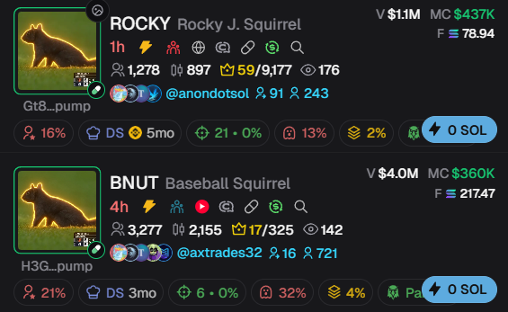 Screenshot of a crypto analytics dashboard showing memecoin tracker entries for 'ROCKY' ($1.1M volume) and 'BNUT' ($4.0M volume), both featuring a Rocky Squirrel avatar with various metrics like holders and social engagement.