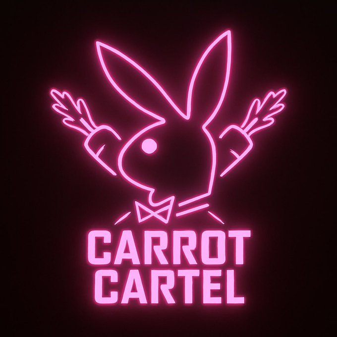 A neon-style pink glowing logo on a black background depicting a rabbit head wearing a bowtie with outstretched arms, above the text 'CARROT CARTEL'.