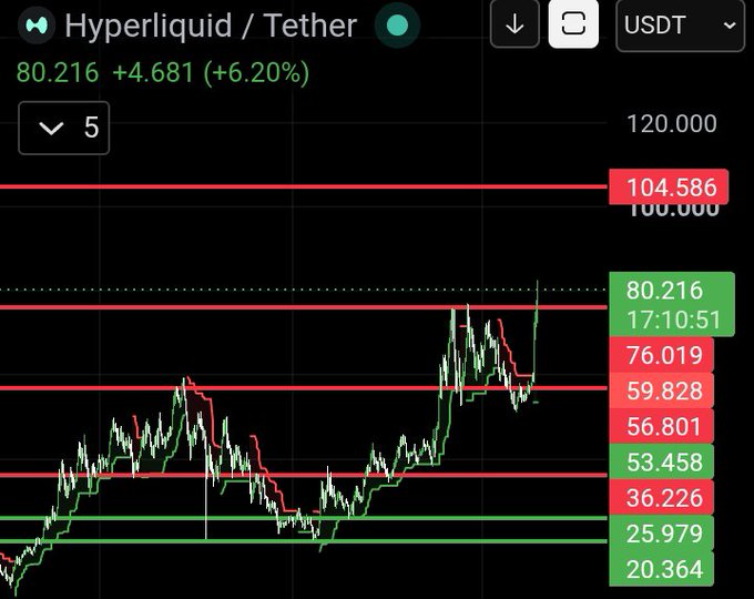 A trading chart for Hyperliquid/Tether (HYPE/USDT) showing the price at 80.216, up 6.20%, with visible support and resistance levels marked in red and green.