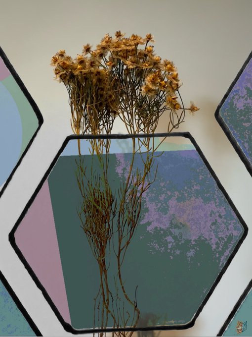An artistic composition shows dried flowers displayed in front of hexagonal mirrors with purple and teal reflections against a white wall.