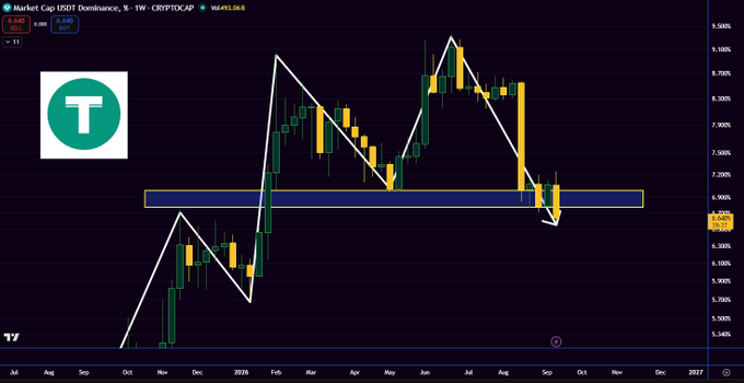 A financial chart titled 'Market Cap USDT Dominance' for CRYPTOCAP, displaying candlestick patterns with technical analysis trend lines and support zones on a weekly timeframe.