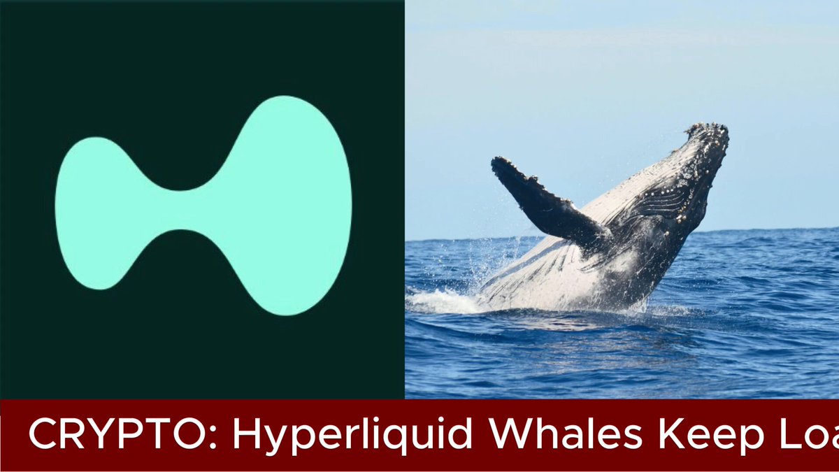 In the image, there are two pictures showcasing a deep blue whale diving into the water next to an ocean scene with light blue waves. The main focus of the image is related to cryptocurrency investing, as it features an infographic and text that explain Crypto- Hyper liquid whales keep loss in red. This suggests a link between the two subjects: the deep blue whale's dive representing the value fluctuations or "hashes" in Cryptocurrency, and Cryptocurrency wallets represented by the light blue ocean waves symbolizing the investment returns on those virtual assets.