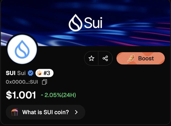 A cryptocurrency tracking interface shows the SUI token priced at $1.001 with a 2.05% gain over 24 hours, ranked #3 and labeled as a "Sui" token. This price detail supports the post's claim of bullish momentum by providing evidence of SUI's recent upward movement.