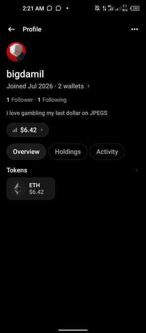 A mobile screenshot of a crypto profile for 'bigdami' showing a bio that reads 'I love gambling my last dollar on JPEGS' and a balance of $6.42 in ETH.