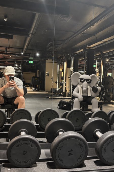 A person in a cap takes a mirror selfie in a gym, surrounded by Technogym dumbbells, with a cartoon koala figure visible in the background.