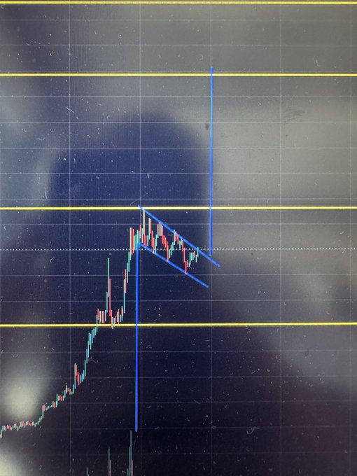 A close-up of a monitor displaying a candlestick financial chart with blue trendlines drawn over the data, reflecting the silhouette of the person taking the photo.