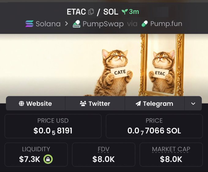 A cryptocurrency trading interface showing a token called 'ETAC' on the Solana network via PumpSwap, featuring an image of a cat holding 'CATE' sign in front of a mirror showing 'ETAC', with prices of $0.058191 USD and 0.07066 SOL.