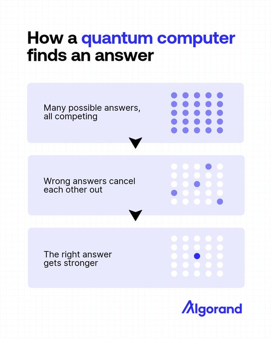 An Algorand infographic titled 'How a quantum computer finds an answer' showing three stages: many answers competing, wrong answers canceling out, and the right answer getting stronger.