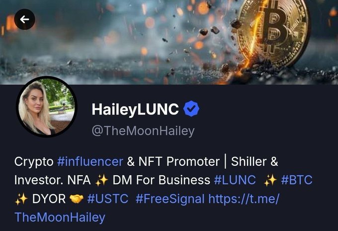 The image shows a Twitter/X profile for "HaileyLUNC" (@TheMoonHailey), a self-described crypto influencer and NFT promoter with hashtags #LUNC, #BTC, #USTC, and #FreeSignal. The accompanying post requesting follows on CoinMarketCap aligns with her self-promotional crypto influencer brand and community-building efforts shown in her bio.